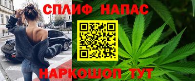 молекула духа Сланцы